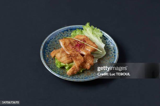 tofu katsu - cutlet bildbanksfoton och bilder