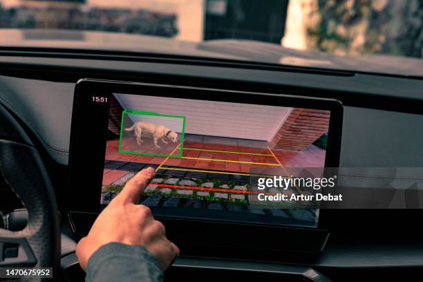 parking car at home with smart rear camera system and big screen device detecting dog in blind spot. - screen dashboard analytics stockfoto's en -beelden