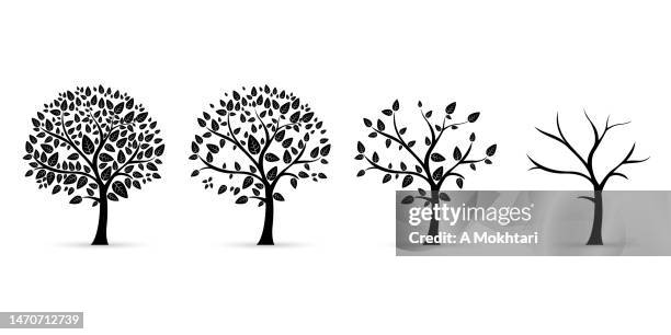 illustrations, cliparts, dessins animés et icônes de icône d’arbre avec différentes étapes. - arbre