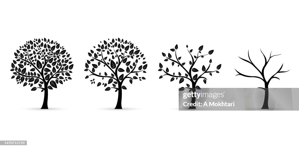 Tree icon with different stages.