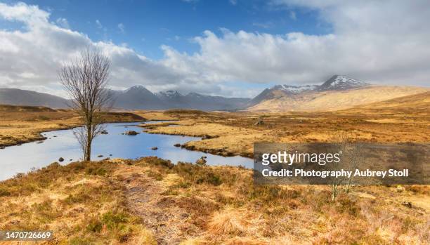 the rugged landscape of rannoch moor - peat stock pictures, royalty-free photos & images