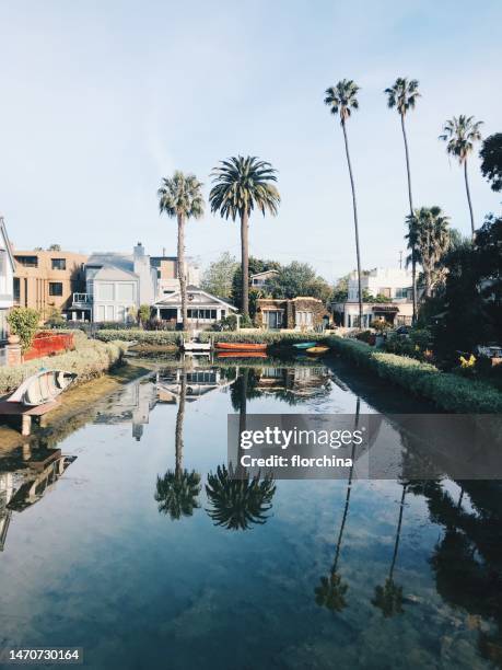 waterfront houses along a canal, venice beach, los angeles, california, usa - venice california canals stock pictures, royalty-free photos & images