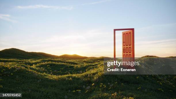 opening door to the freedom - gate imagens e fotografias de stock