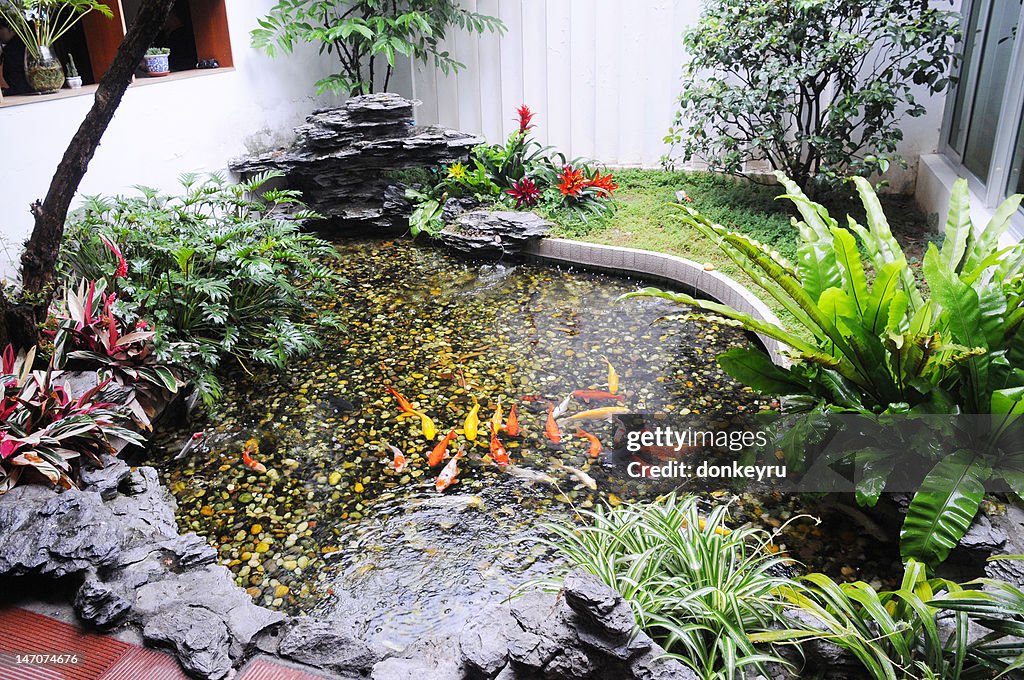 The small family garden