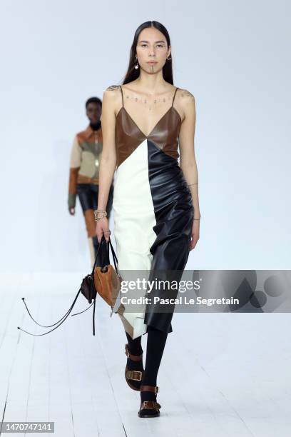 Model walks the runway during the Chloé Womenswear Fall Winter 2023-2024 show as part of Paris Fashion Week on March 02, 2023 in Paris, France.