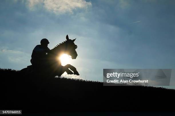 Runners clear a fence during The Richard Williams Memorial Handicap Chase at Taunton Racecourse on March 02, 2023 in Taunton, England.