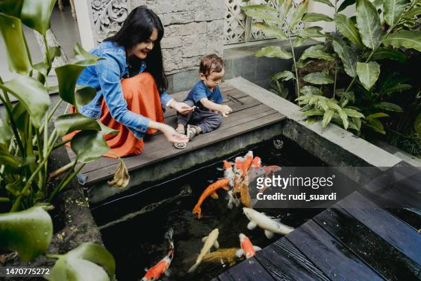 high angle view of people in water - fish pond stock pictures, royalty-free photos & images