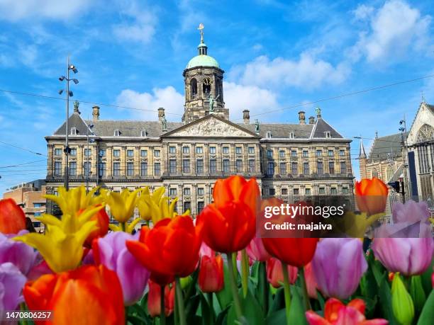 amsterdam royal palace with defocused tulips - amsterdam royal palace stock pictures, royalty-free photos & images