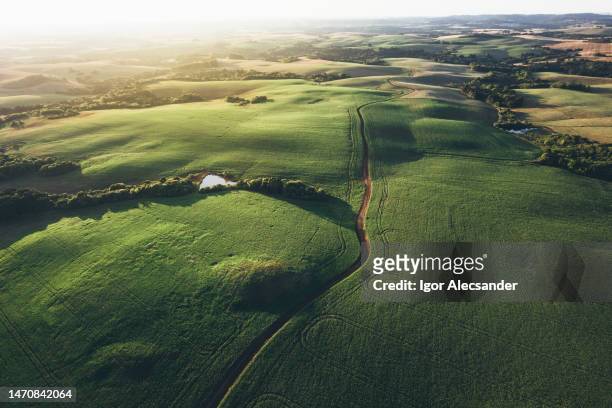 sunset in agricultural fields - south america farm stock pictures, royalty-free photos & images