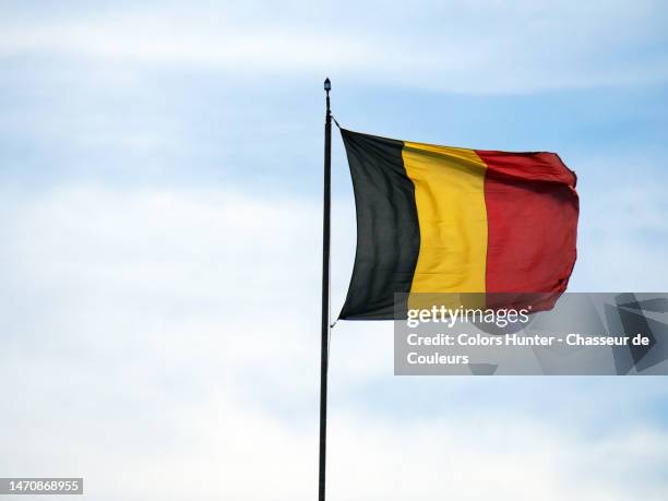 the national flag of belgium flutters in the winds on its mast in brussels, belgium - government stock pictures, royalty-free photos & images