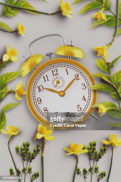 spring foward - daylight savings spring forward stock pictures, royalty-free photos & images
