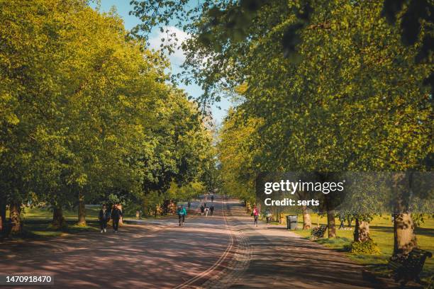 greenwich park in london, uk - boulevard stock pictures, royalty-free photos & images