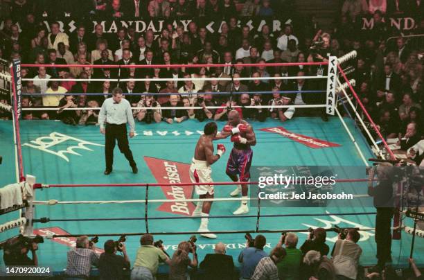 Referee Mitch Halpern looks on as WBA and IBF heavyweight champion Evander Holyfield from the United States and WBC heavyweight champion Lennox Lewis...