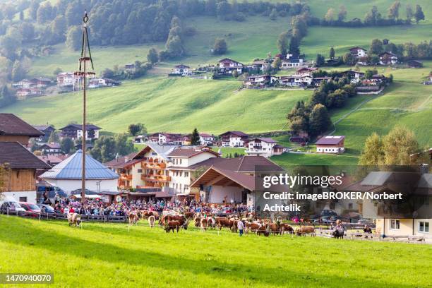 abtrieb, niederau, district of kufstein, tyrol, austria - kufstein stock pictures, royalty-free photos & images