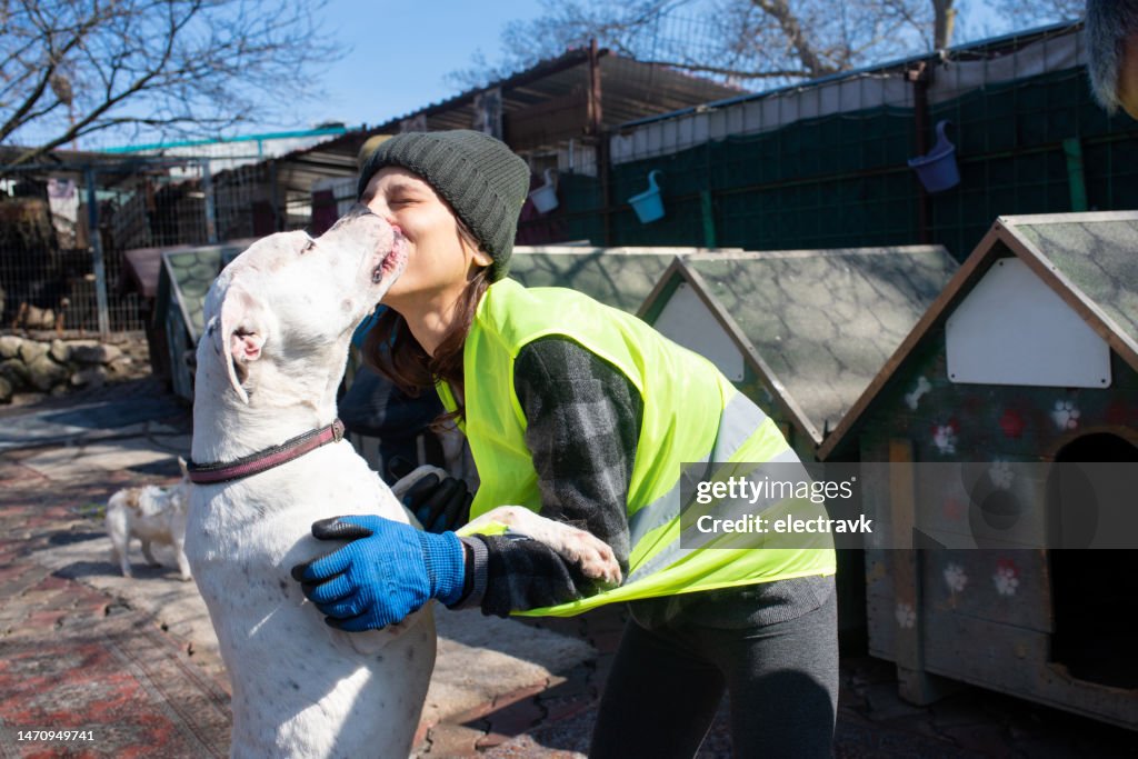Animal shelter volunteer caring for dog