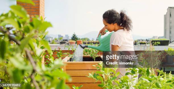 woman watering plants - the roof gardens stock pictures, royalty-free photos & images