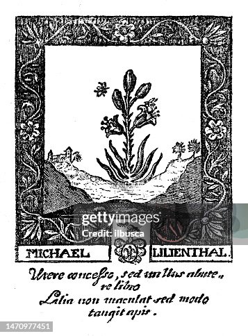 Antique Bookplate: Michael Lilienthal Antique Bookplate: Michael Lilienthal