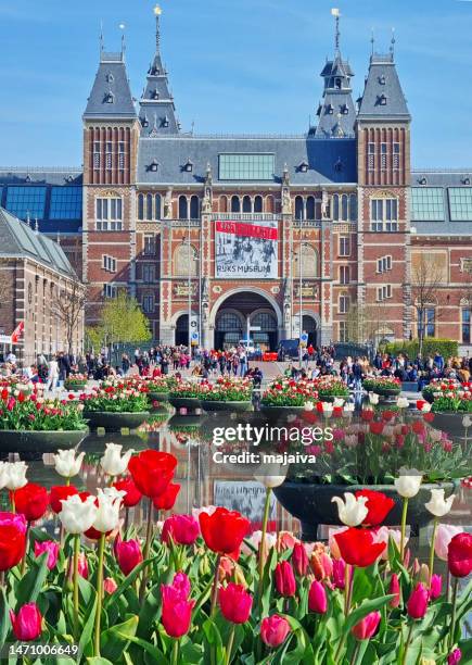 rijksmuseum on museumplein, amsterdam, netherlands - tulips amsterdam stock pictures, royalty-free photos & images