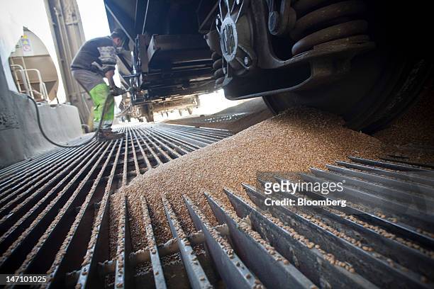 An employee works on a grain transportation wagon at Lecureur SA's cereal plant in Val de la Haye, near Rouen, France, on Saturday, June 23, 2012....