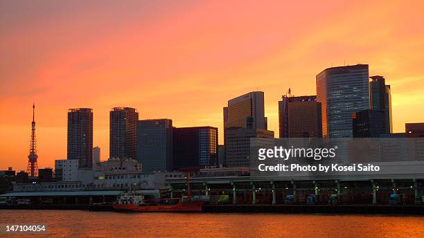 skyline at sunset - tokyo skyline sunset stock pictures, royalty-free photos & images