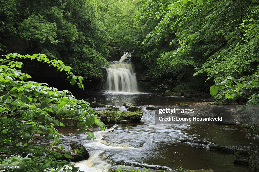 West Burton Falls, Wensleydale
