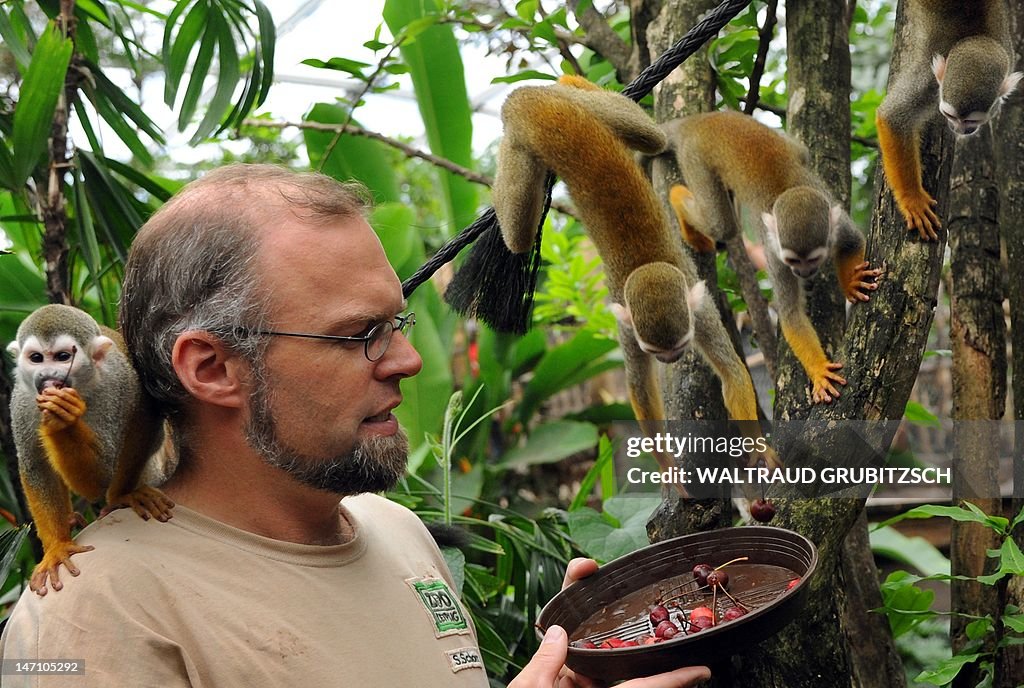 Zookeeper Sebastian Schorr feeds squirre