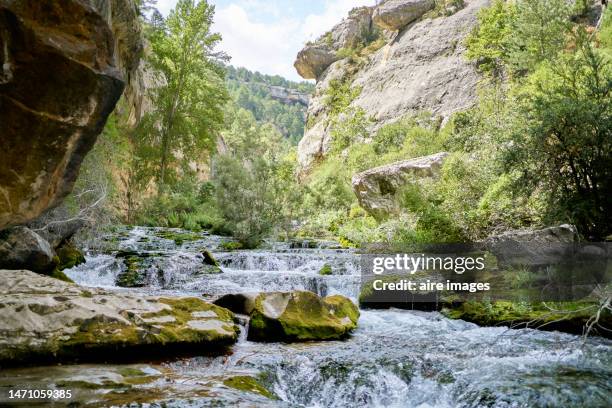 front view of the pitarque river with the water flowing between the rocks with trees all around. - comunidad autónoma de aragón fotografías e imágenes de stock