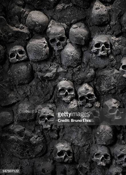 skulls - skull imagens e fotografias de stock