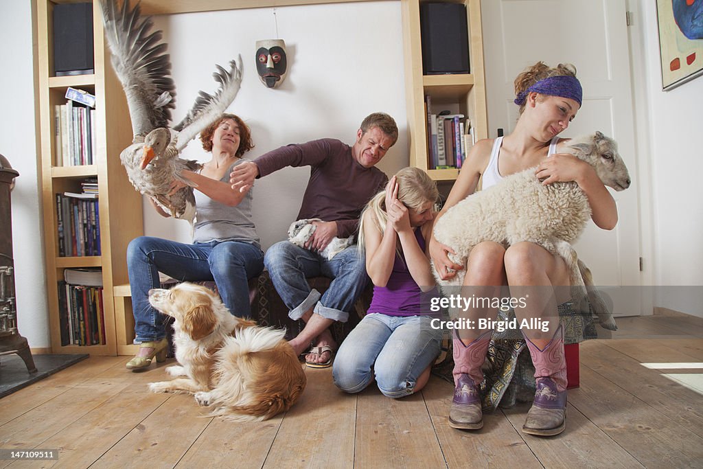 Family with fluttering goose at home