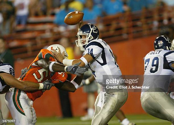 Dan Orlovsky of Connecticut tangles with Miami defender Jamaal Green as he looks to pass during the NCAA football game at the Orange Bowl in Miami,...