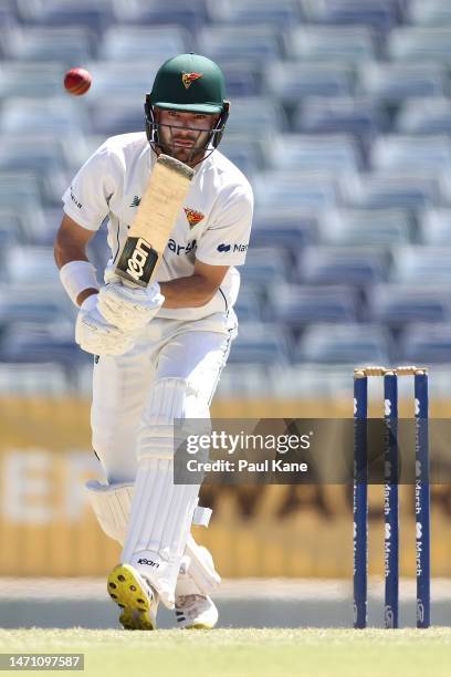 Caleb Jewell of Tasmania bats during the Sheffield Shield match between Western Australia and South Australia at WACA, on March 04 in Perth,...