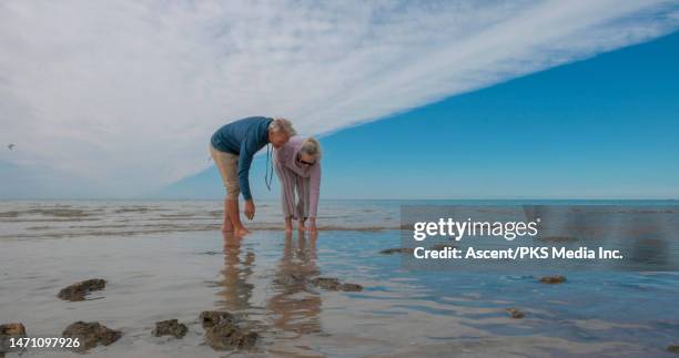 senior couple explore tidal flats together - finding gray hair stock pictures, royalty-free photos & images