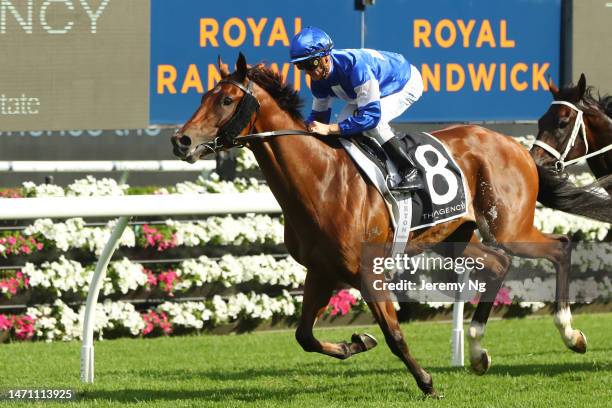 Zac Purton riding Communist wins Race 8 The Agency Randwick Guineas during Sydney Racing at Royal Randwick Racecourse on March 04, 2023 in Sydney,...