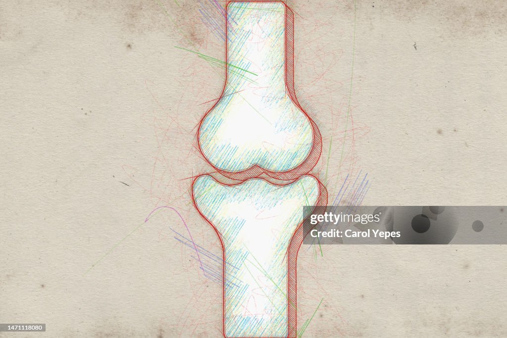 Human bone joint made of white felt.Conceptual image