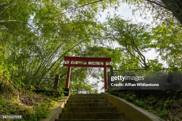 torii gate - shrine ストックフォトと画像