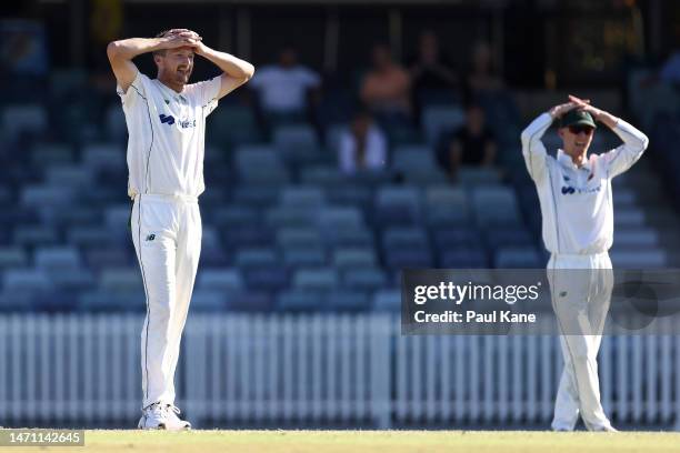 Jackson Bird and Jordan Silk of Tasmania react after a delivery during the Sheffield Shield match between Western Australia and South Australia at...