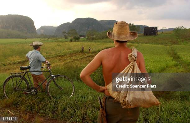 Farmers work in the field October 5, 2002 in Pinar del Rio, Cuba. New U.S. Food sales to communist Cuba reached nearly $90 million last week at an...