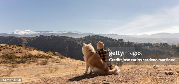 traveler man with his dog in the mountain - they are sitting resting enjoying the landscape - - shiba inu adult stock pictures, royalty-free photos & images