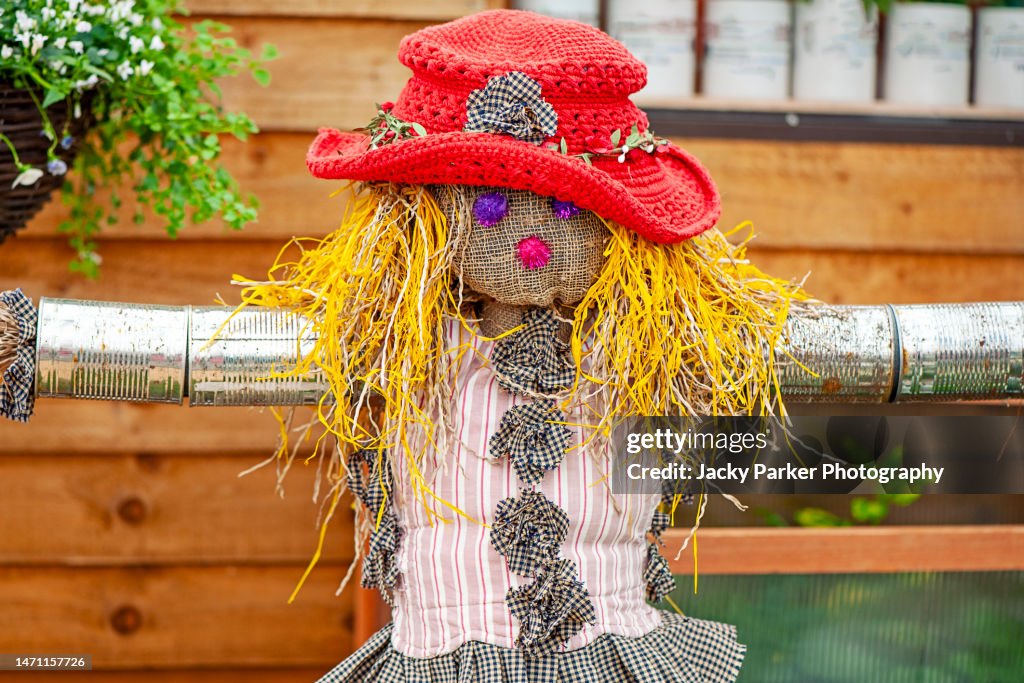 A scarecrow is a decoy or mannequin that is often in the shape of a human, here wearing a vibrant red hat with straw for hair