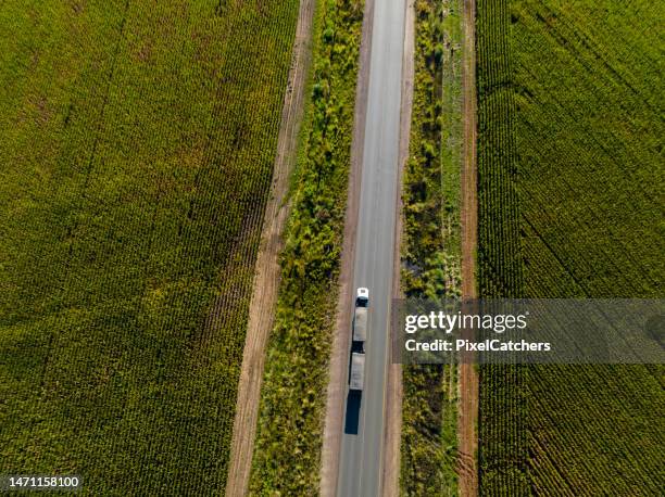 directly above single tipper truck driving through corn fields - vehicle trailer stock pictures, royalty-free photos & images