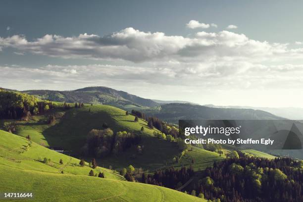 black forest mountain - baden württemberg stock pictures, royalty-free photos & images