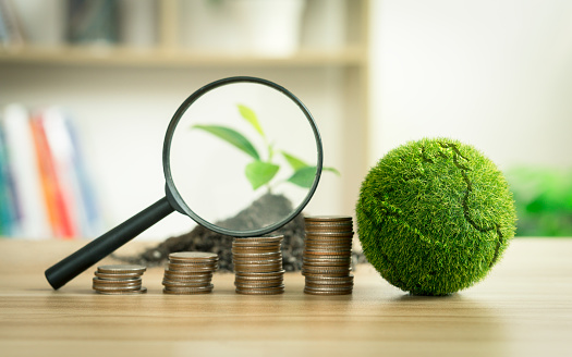 Municipal Bond Green Shoots: Early Signs Of Spring Municipal Bond Green Shoots: Early Signs Of Spring
