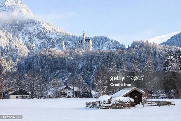 neuschwanstein castle - winter in the bavarian alps (germany) - deutschland wald winter stock-fotos und bilder