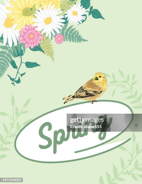 spring background with copy space - spring background vertical bright stock illustrations