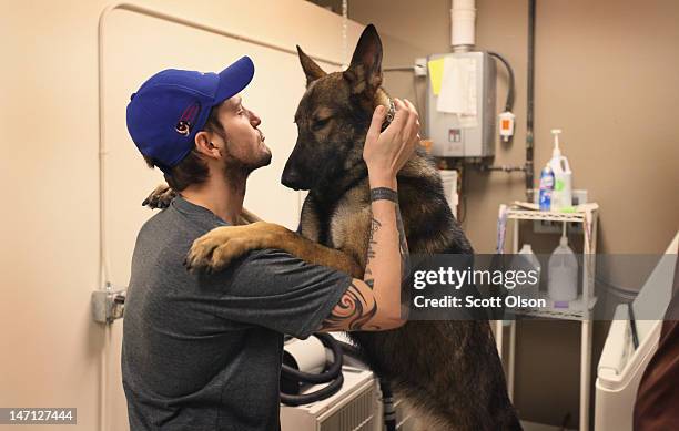 Army veteran Brad Schwarz plays with his service dog Panzer following a bath at Pack Leader Academy February 21, 2012 in Palos Hills, Illinois....