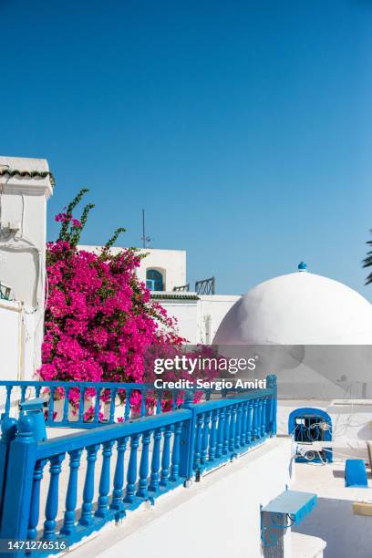 red flowers and blue balcony in sidi bou said - tunisia medina stock pictures, royalty-free photos & images