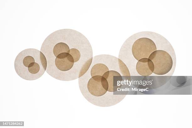 multiple translucent circle paper overlapping - celdeling stockfoto's en -beelden