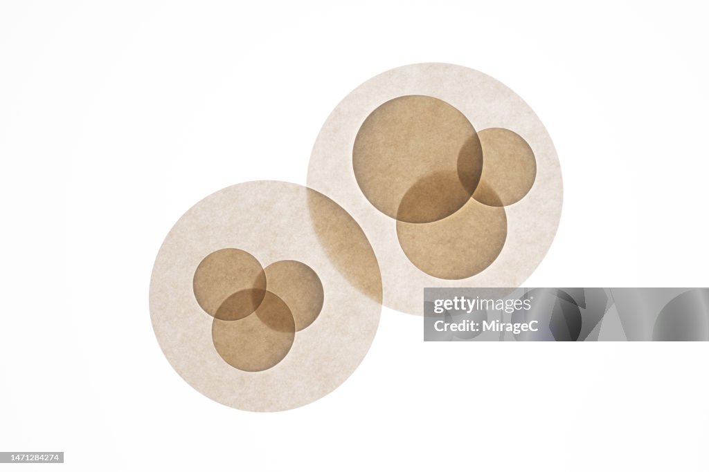 Translucent Circle Paper Overlapping Venn Diagram High Res Stock Photo translucent-circle-paper-overlapping-venn-diagram-high-res-stock-photo