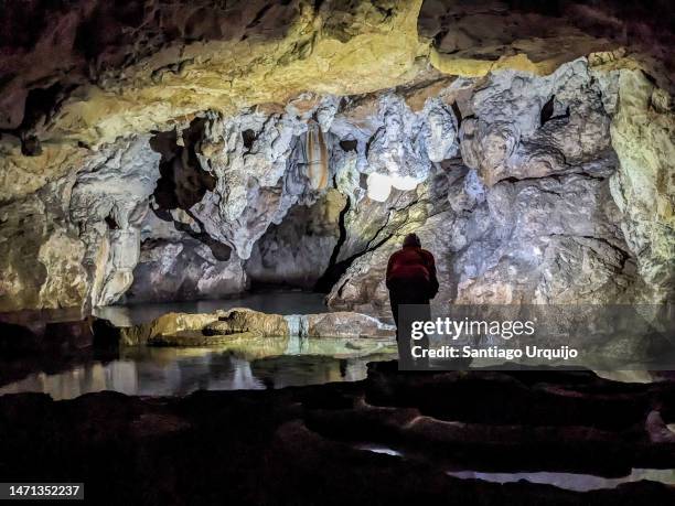 Cave Inner Inner Space Cavern Photos and Premium High Res Pictures - Getty Images