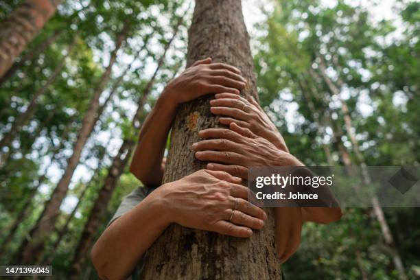 connecting with nature! - tree hugging stock pictures, royalty-free photos & images